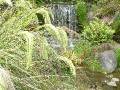 Grass and waterfall